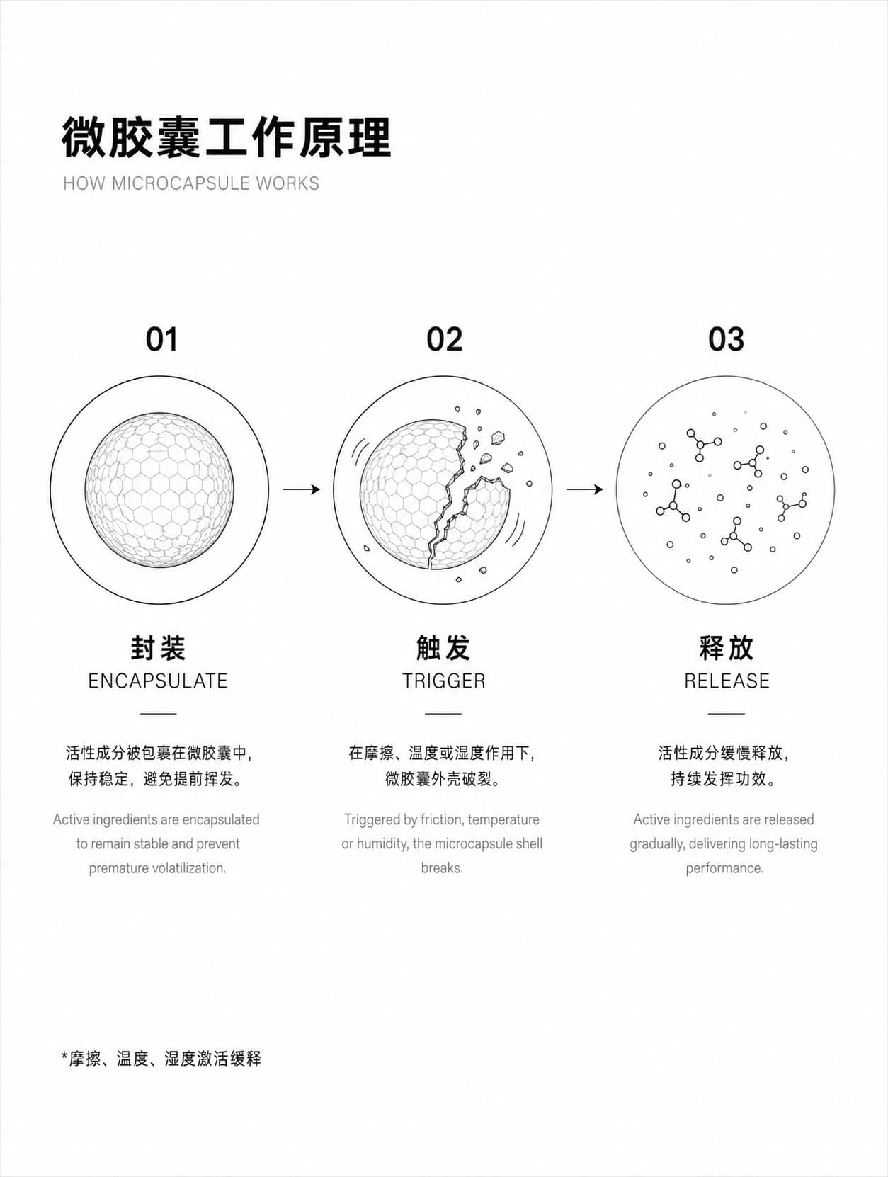 短袜10双装·送寻宝船详情图 5